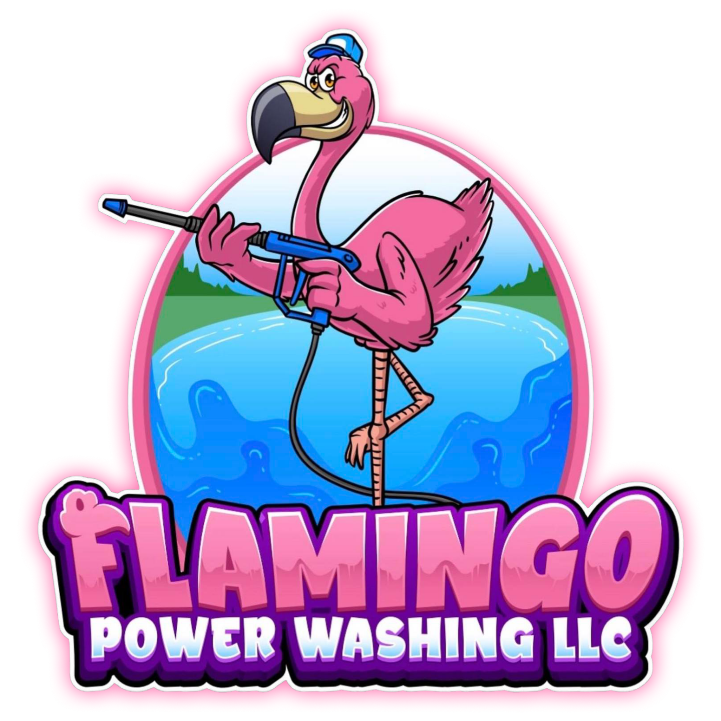 flamingo power washing